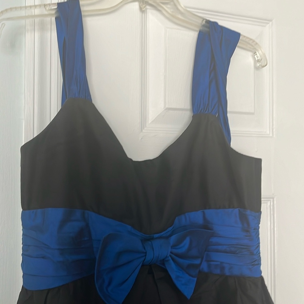 Vintage Taffeta Dress- Suzi Chin